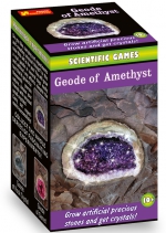 <h10><strong><font color="#ff0000"></font></strong></h10> Geode of Amethyst