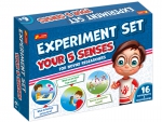 Experiment Set. Your 5 Senses