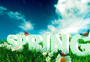 Welcome Spring!